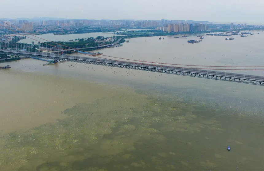 长江武汉段出现历史同期最低水位