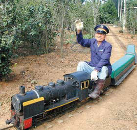 81岁的台铁的老驾驶，将开小型蒸气火车载游客赏茶花