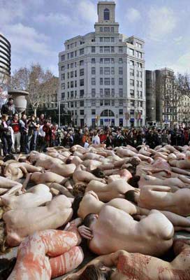 西班牙善待动物组织成员为动物请命 街头裸爬