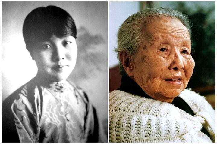 繁星兔子牙收入_繁星收入诗人(2)