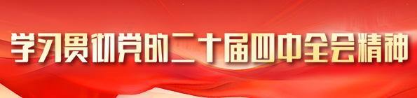 学习贯彻党的二十届四中全会精神专题
