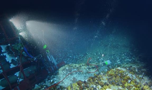 我国建立常态化深海长期连续观测和探测平台