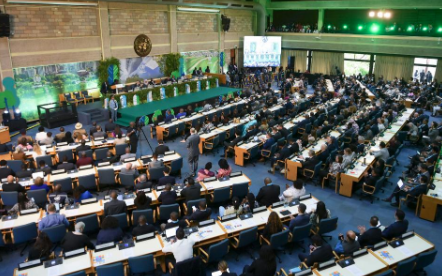 第二届联合国人居大会召开 关注可持续的城市未来