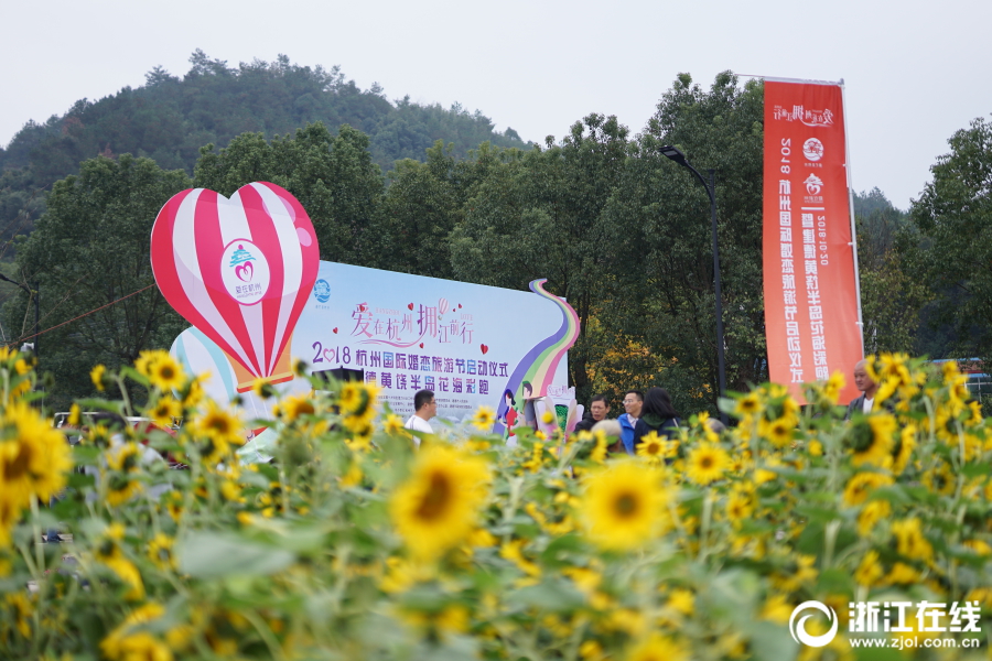 建德千亩花海盛放 开启杭州婚礼旅游季